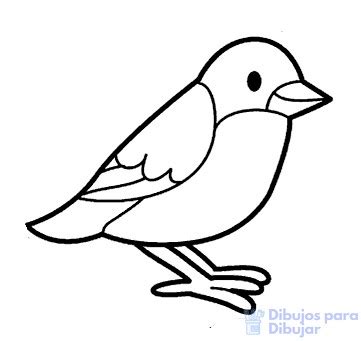 磊 Dibujos de Aves【+75】Con tutorial
