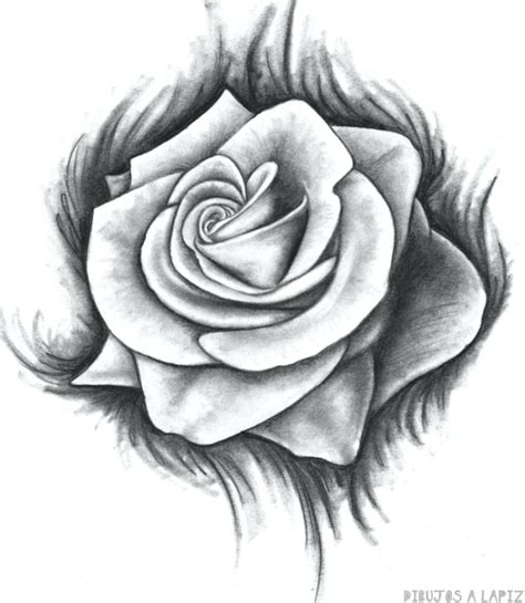 磊 Dibujos de rosas【+30】Fáciles y Gratis