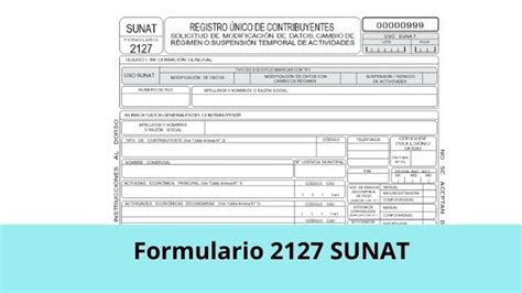 ⓿ Formulario 2127 SUNAT【Descargar y Llenar】 ️