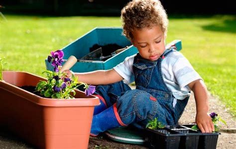 ⊛ Plantas para Niños ⇒ ¿Las Más Fáciles De Cuidar? ️