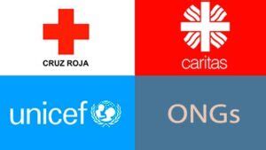 ᐈ Requisitos para formar una ONG en Argentina 【Funciones y MÁS】