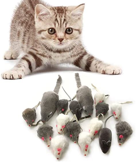 ⓵ ? raton para gatos   Precios baratos en Stockbuzz