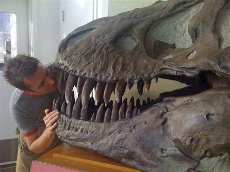 …Aaaaaaand Here I Am Frenching a T Rex Skull at a ...