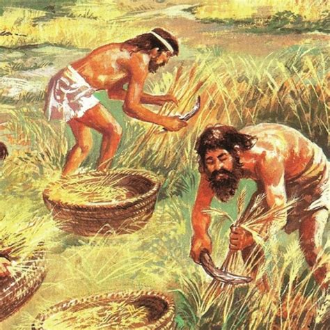 ¿Sabe cómo fue la Agricultura en el Neolítico? Descúbralo aquí