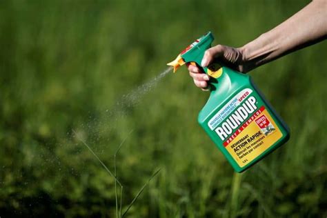 ¿Sabe qué es un Herbicida? Conoce más de este tema