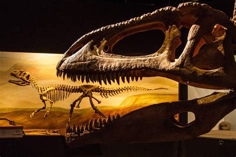 ¿Sabías que el Museo Paleontológico privado más importante ...