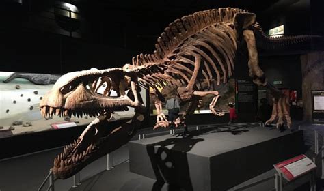 ¿Sabías que el Museo Paleontológico privado más importante ...