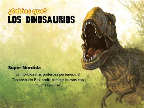 Sabias que? Los dinosaurios by Pablo Massardo Issuu