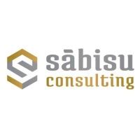 Sabisu Consulting S.A. de C.V. | LinkedIn