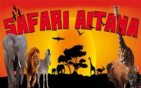 Safari en pareja, en Alicante, gracias a Safari Aitana ...