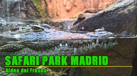 Safari Park Madrid   Viajar en autocaravana con hijos
