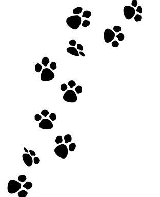 Safe Paints to Use for Making a Dog Paw Print | eHow.com ...