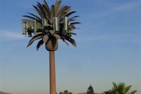 Saldanha Bay Municipality: STOP the Communication Tower in ...