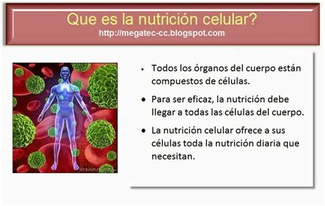 Salud con Omnilife: Salud y Nutrición celular; Diferentes Sistemas del ...