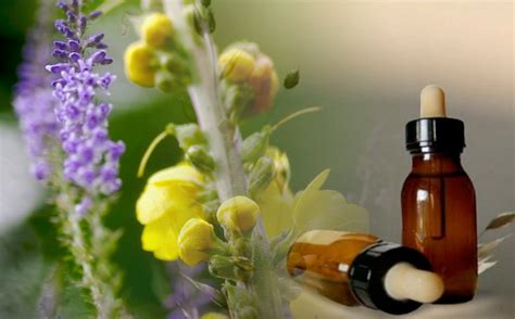 Salud Integral Femenina: Tratamiento De Homeopatía Para La ...