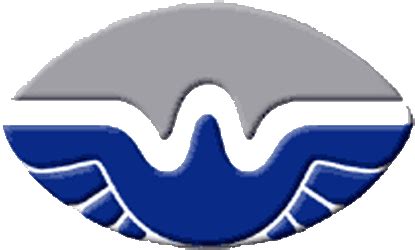 San Antonio Wings Primary Logo   World Football League ...