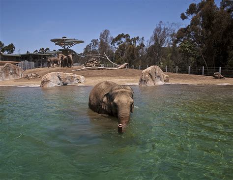 San Diego Zoo | Balboa Park