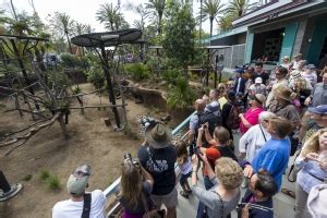San Diego Zoo Discount Tickets   aRes Travel