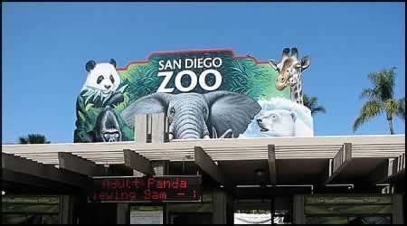 San Diego Zoo Discount Tickets Save $10.00 | Daytrippen ...