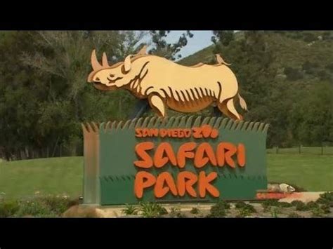 San Diego Zoo Safari Park   YouTube