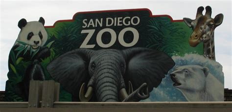 San Diego Zoo   Travel 4 Kids Family Travel Deals