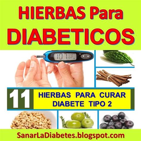 Sanar La Diabetes: ᐅ Hierbas y Plantas Medicinales Para La ...