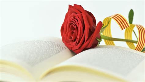 Sant Jordi 2019: El origen de regalar una rosa y un libro ...