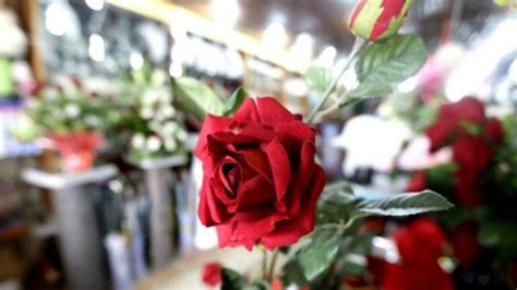 Sant Jordi 2019: La tradición de regalar una rosa y un libro
