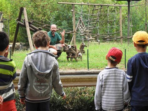 Santo Inácio Zoo | Attractions in Greater Porto, Vila Nova ...
