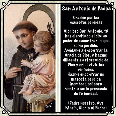 SANTORAL CATOLICO: SAN ANTONIO DE PADUA