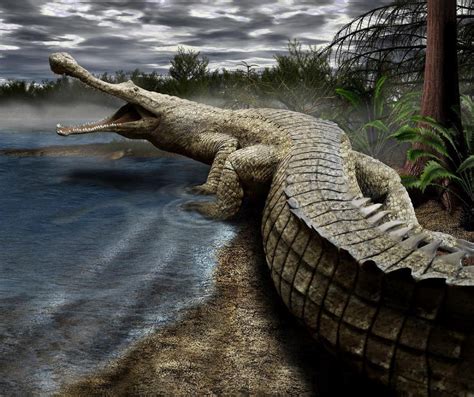 Sarcosuchus | Prehistoric creatures, Crocodile species, Prehistoric
