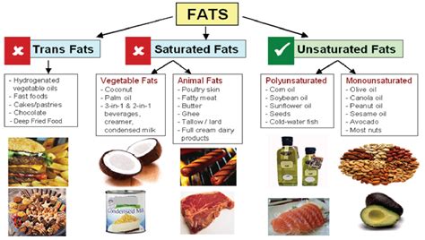 Saturated Fat & Cholesterol   The Calorie Ninja