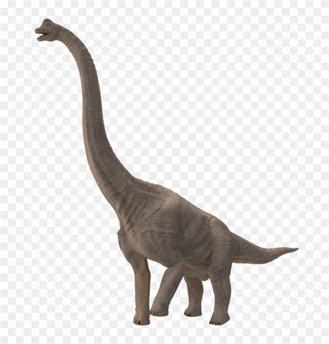 Sauropod Png File   Dinosaurios Cuello Largo Nombre, Transparent Png ...