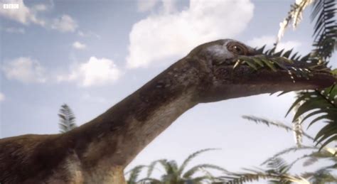 Saurornithoides | BBC Planet Dinosaur Wiki | Fandom ...