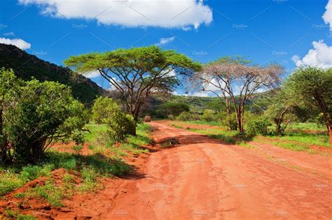 Savanna landscape in Kenya, Africa ~ Nature Photos ...