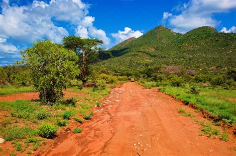 Savanna landscape in Kenya, Africa ~ Nature Photos on ...