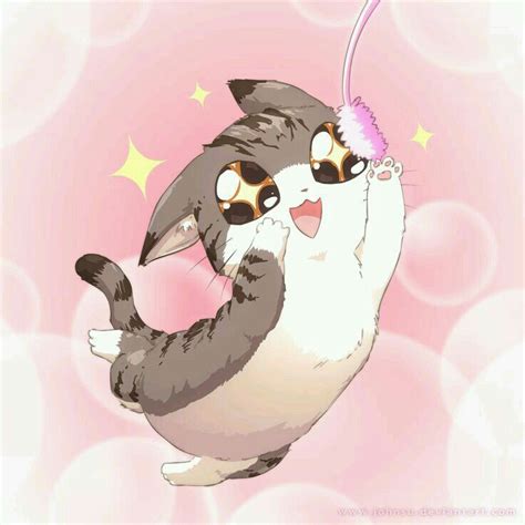 Scandalous | Cute anime cat, Kawaii cat, Anime cat