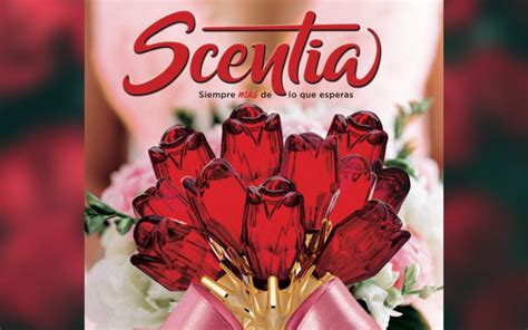 Scentia Celebra el Día de La Madre lanzando una Rosa Hecha ...