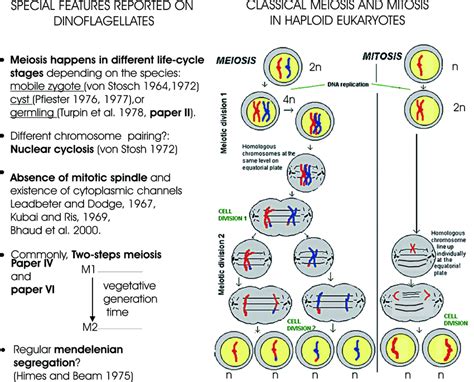 Schematic diagram of mitosis and meiosis in haploid ...