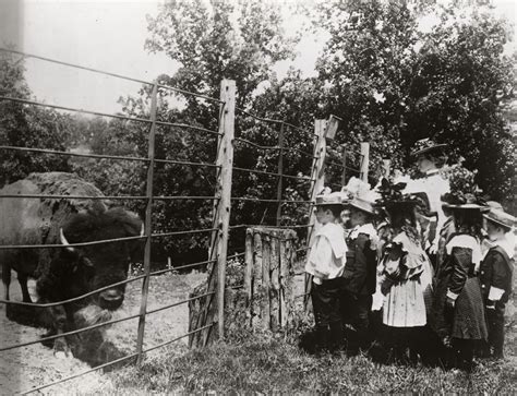 School Children with Bison, 1899 – History By Zim