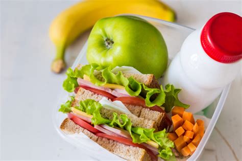 School lunch box Stock Photo 01 free download