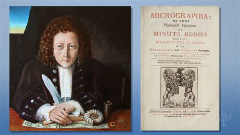 Science Meaning Of Robert Hooke   MEANOIN