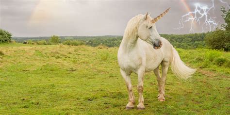 Science Proves That Unicorns Are Real
