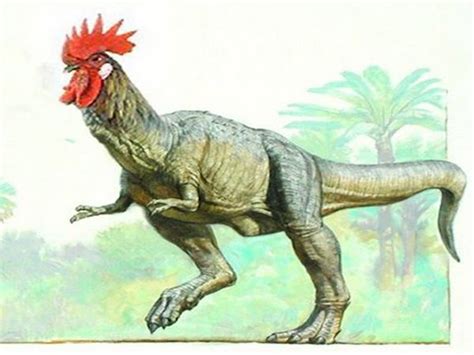 Scientists Create Dino Chicken/Hasten Our Doom | Dinosaur, Chickens ...