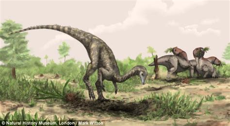 Scientists find the first dinosaur   and say it was ...