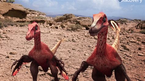 Scientists Recreated the Velociraptor Sounds   YouTube