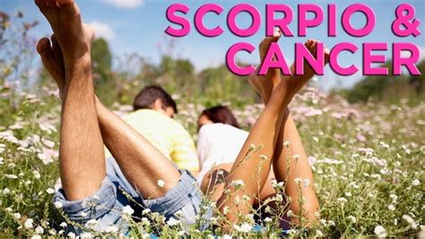 Scorpio and Cancer Compatibility | My Astrology