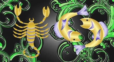 Scorpio Capricorn Compatibility   Horoscope