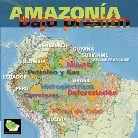 “Debemos detener ciclo de destrucción de la Amazonía ...