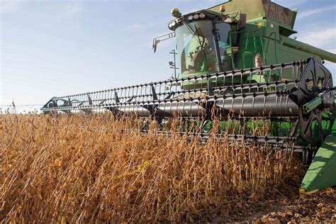Se abren oportunidades para el cultivo de la soja en España